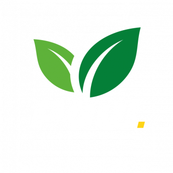 logo_regional_white
